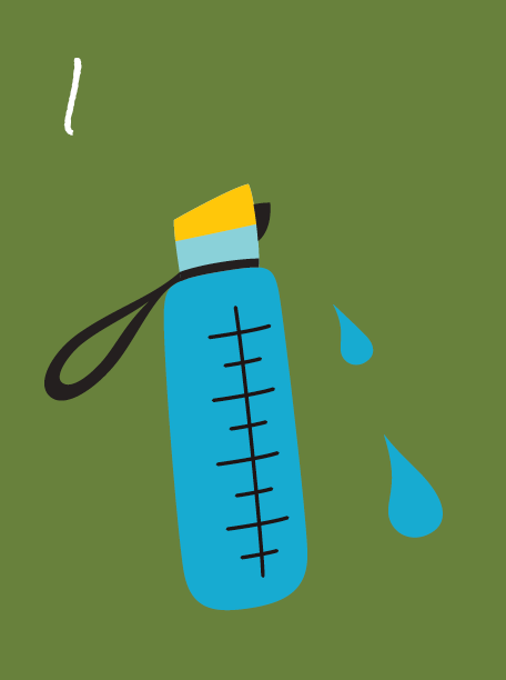 wellness water bottle